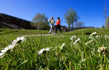 Image of green space on campus