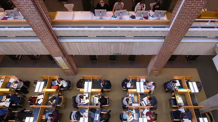 Students studying in the library at the University of Sussex