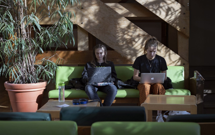 Two students on laptops in falmer house common room